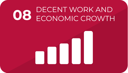 08 Decent Work and Economic Growth