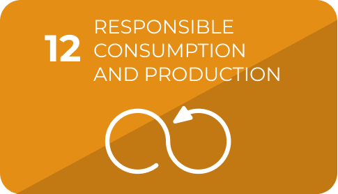 12 Responsible Consumption and Production