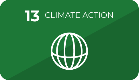 13 Climate Action
