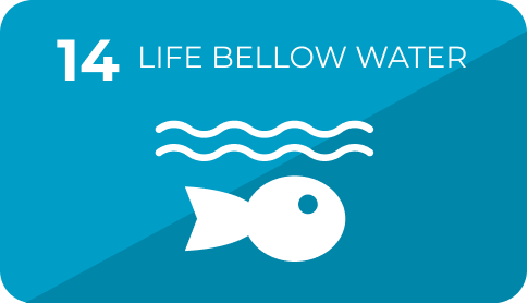 14 Life Below Water