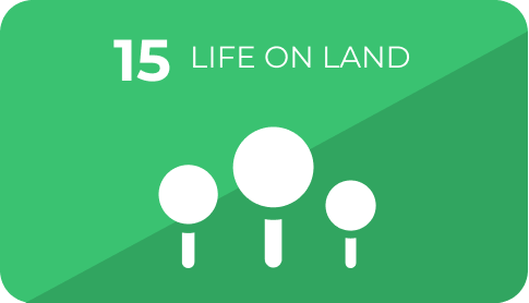 15 Life on Land