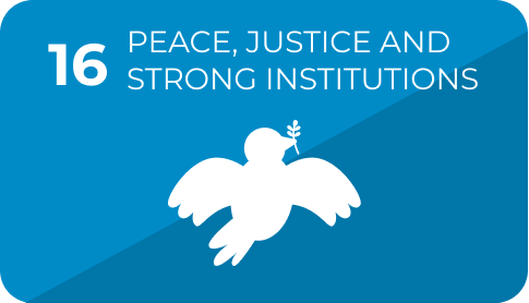 16 Peace, Justice and Strong Institutions