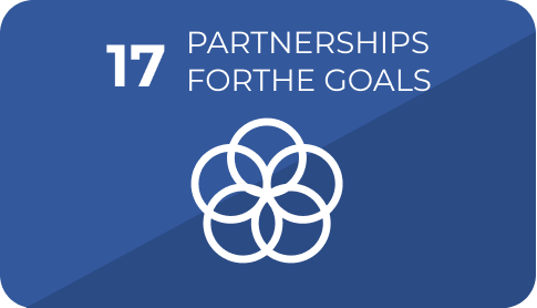 17 Partnerships for the Goals