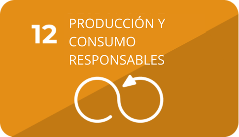 12 Producción y consumo responsables