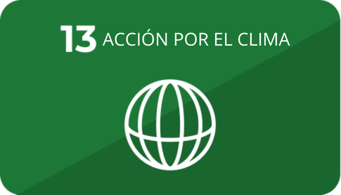 13 Acción por el clima