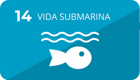 14 Vida submarina