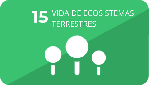 15 Vida de ecosistemas terrestres