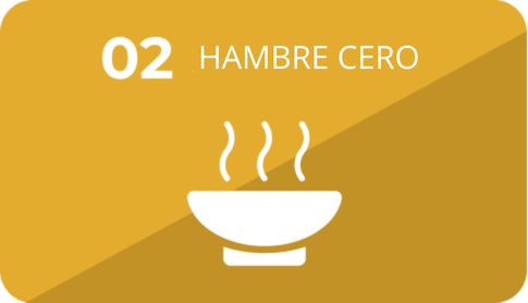 02 Hambre cero
