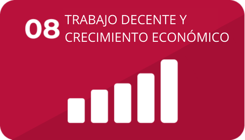 08 Trabajo decente y crecimiento económico