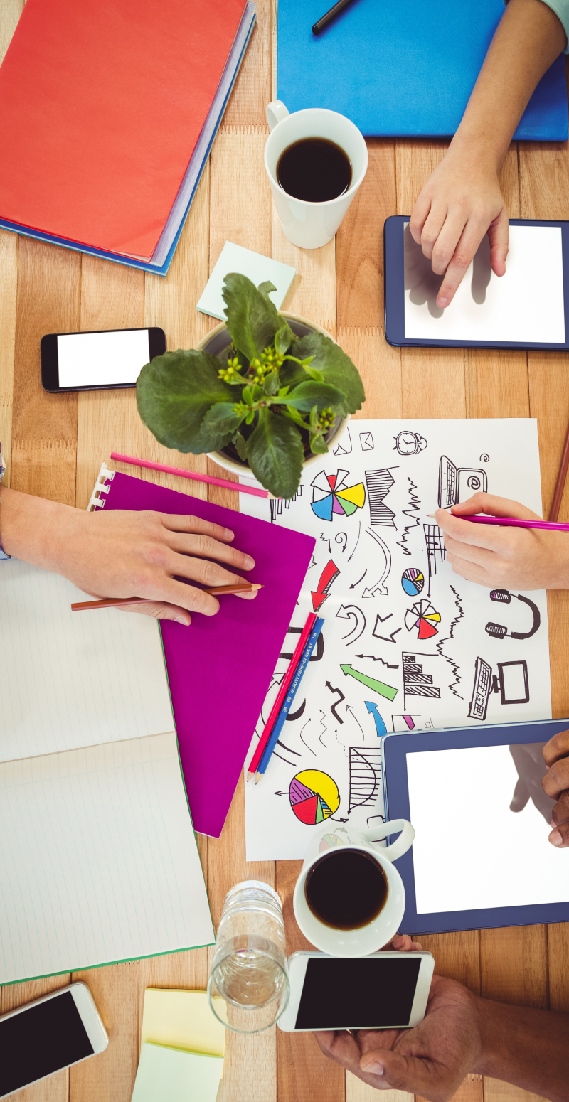 Organizaciones productivas